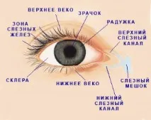 Сухість очей при носінні контактних лінз очей