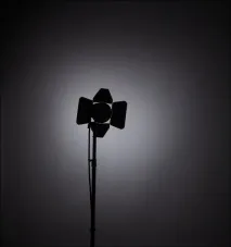Світлоформуючі насадки (Zoom Reflector та шторки, Zoom Reflector Snoot) reflector