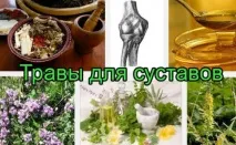Трави для суглобів які можна використовувати для лікування трави