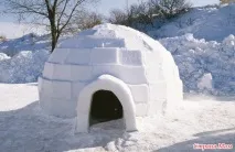 заюшкина заюшкина
