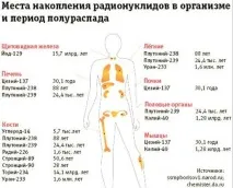 Типи розподілу радіонуклідів в організмі людини. типи