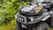 моделни grizzly