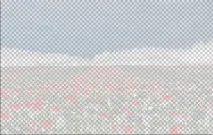 яркостта контраста