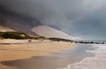 пляшкові