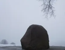 виконувати
