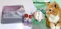 лекарството ваксина