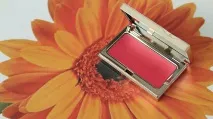 clarins clarins