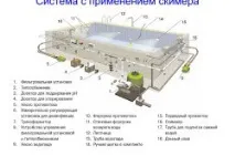 Влаштування басейнів на присадибній ділянці як відбувається відбувається