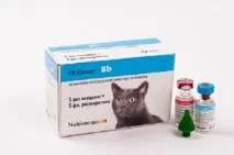 видове котки