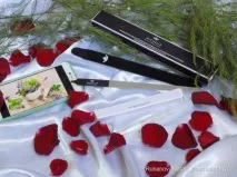 кутикула кутикула