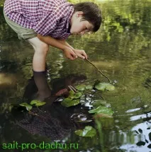 страната страната