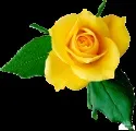 народилися