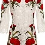 Вишивка на одязі дизайнерів DOLCE - GABBANA dolce