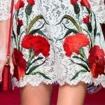 Вишивка на одязі дизайнерів DOLCE - GABBANA gabbana