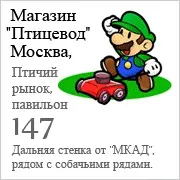 породи породи
