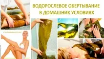 водорасли водорасли дома