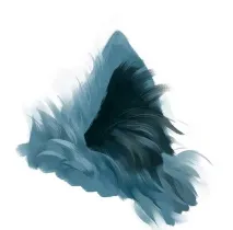 corel