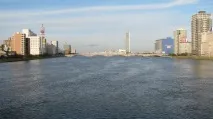 оризови полета японска