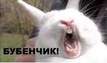 когато реагирате Добра реакция