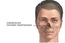 Хрящі носа – що це таке і навіщо вони потрібні навіщо
