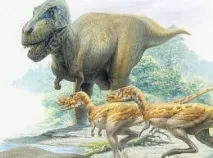 добри животните