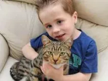 животните новини