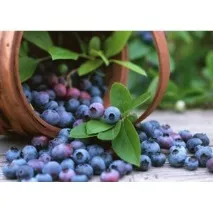 вкусно здравословно