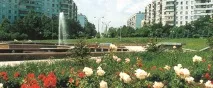 старата град