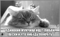 говореше Таралежът поберем