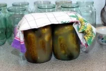 овочів