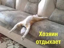 говореше Таралежът поберем