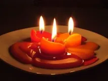парцели функция
