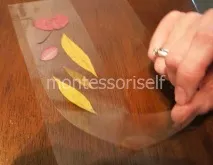 ръце собствените
