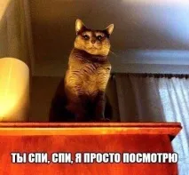 говореше Таралежът помисли поберем