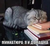 говореше Таралежът помисли говореше Таралежът помисли