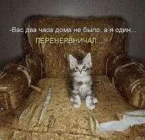 говореше Таралежът помисли говореше Таралежът помисли