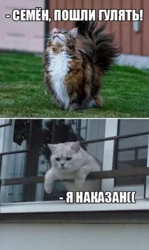 говореше Таралежът помисли говореше Таралежът