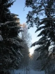 Продължете четете