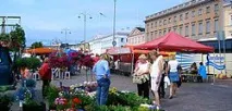 Зоопарк у Хельсінкі історія, тварини зоопарку, адреса та фото зоопарку
