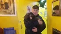 котки кучета котки