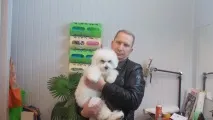 кучета кучета