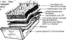 живи ArchieBio Квебек