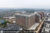 царицино кола общо