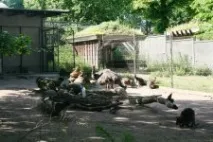 Зоопарк у Хельсінкі історія, тварини зоопарку, адреса та фото хельсінкі