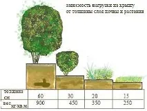 будинку