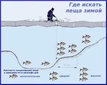 зимен зимна