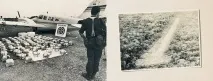 Життя та смерть Пабло Ескобара Ескобара