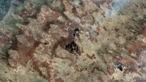 earth снимки