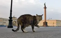 празник одобрен