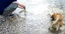 секретів
